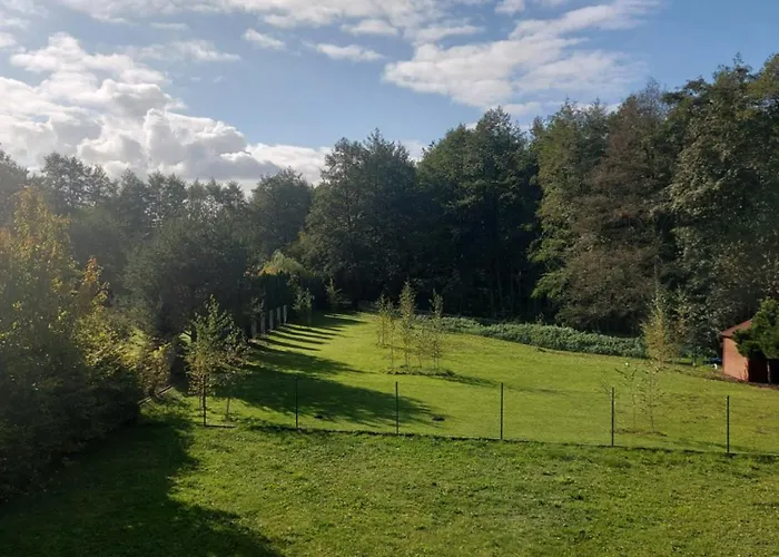 Relaks W Wilczycach *